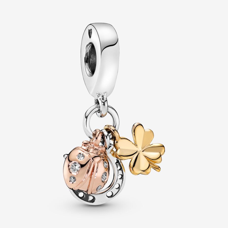 Pandora Charm Portafortuna 798717C01