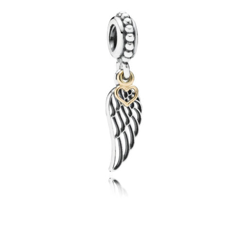 Pandora Love & Protection Charm 791389