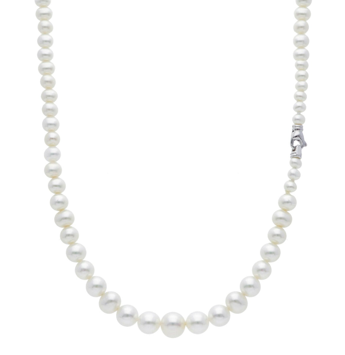 Strand of Fresh Water Pearls to Scalar