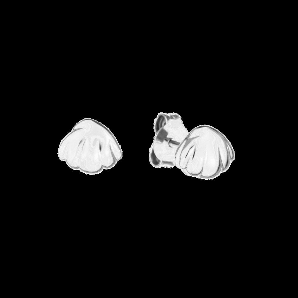 Queriot Shell Earrings
