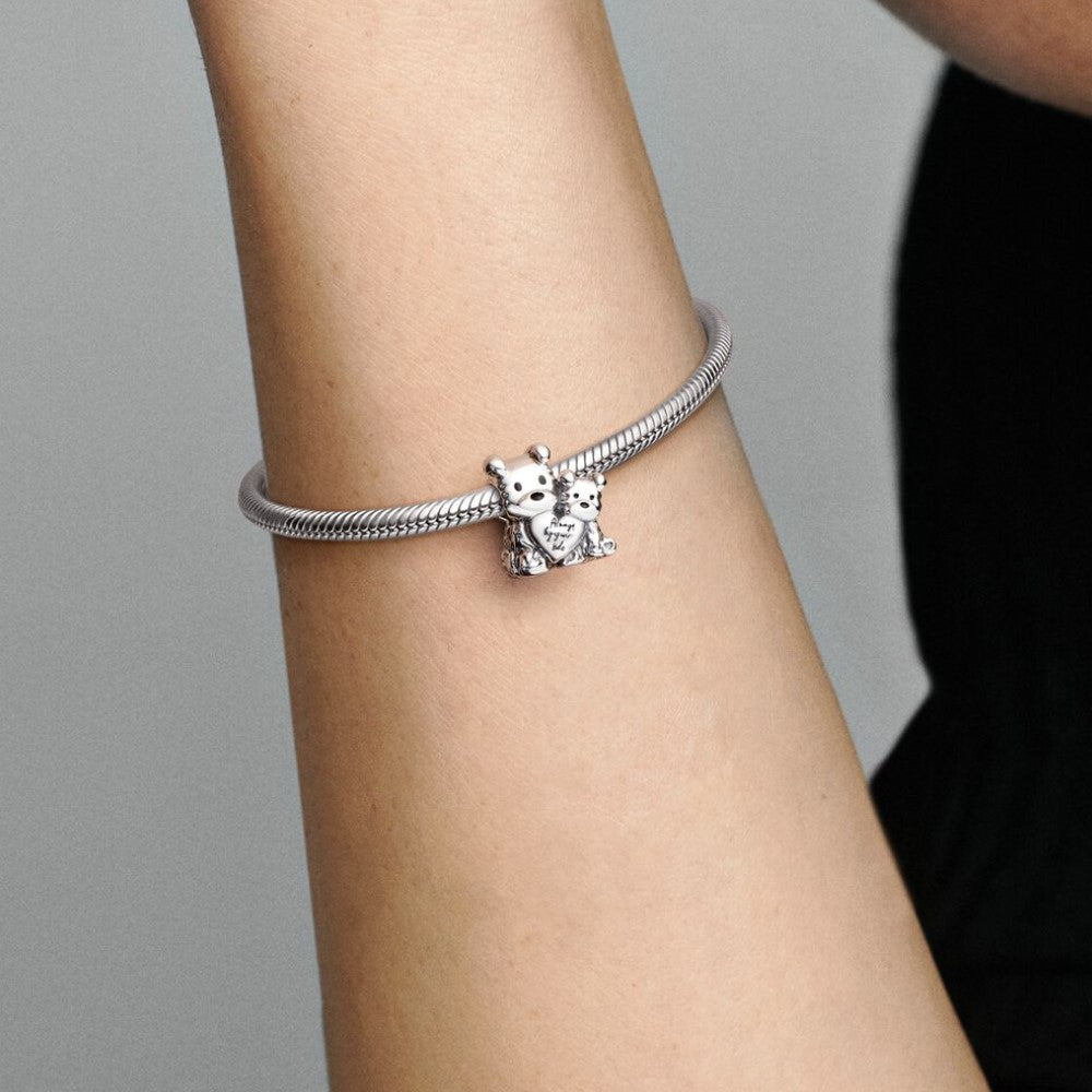 Pandora Charm Sempre al Tuo Fianco 790791C01