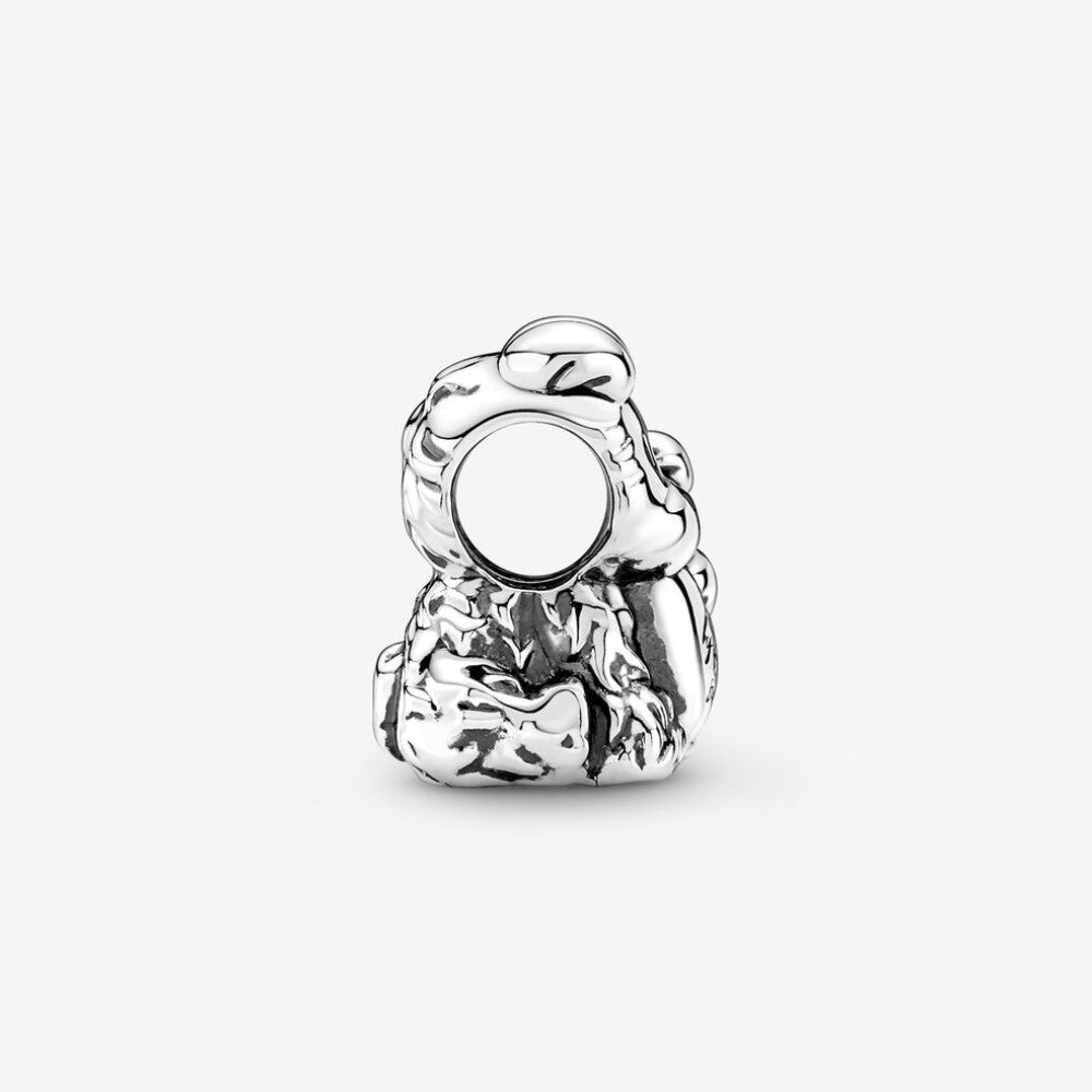 Pandora Charm Sempre al Tuo Fianco 790791C01