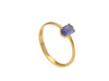  Maiocchi Gold 18kt Yellow Gold and Tanzanite Ring
