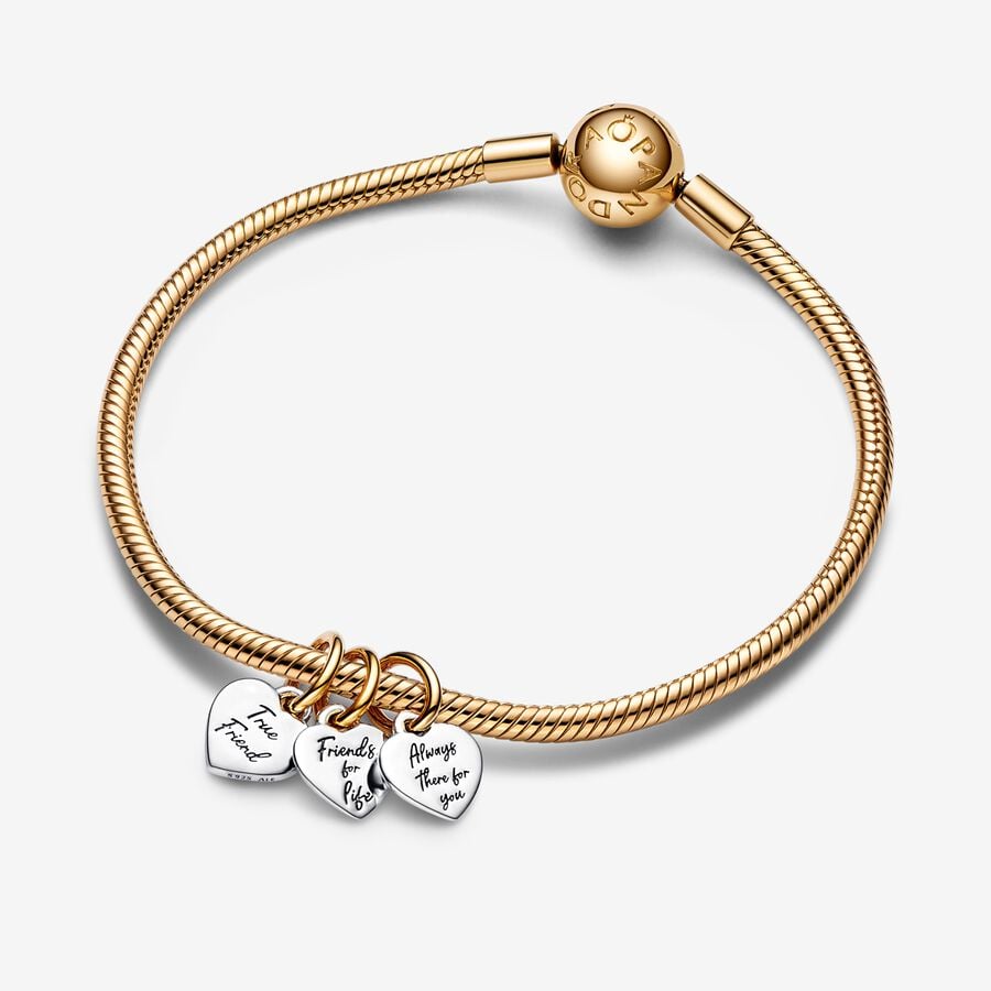 Pandora Charm Pendente Amici per sempre Divisibile 762722C00