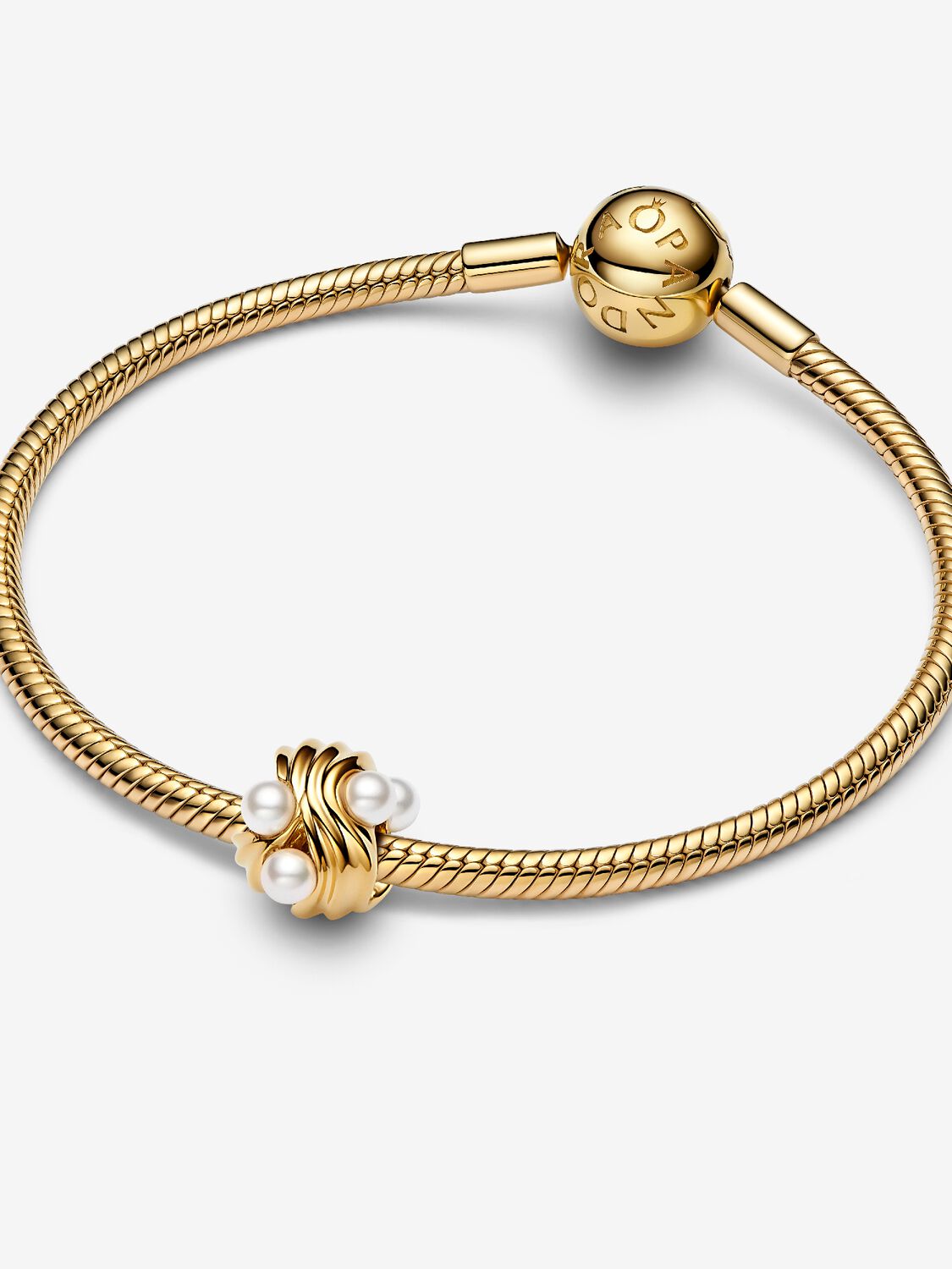 Pandora Charm Tesori dell'Oceano Placcatura in Oro 14k 763915C01