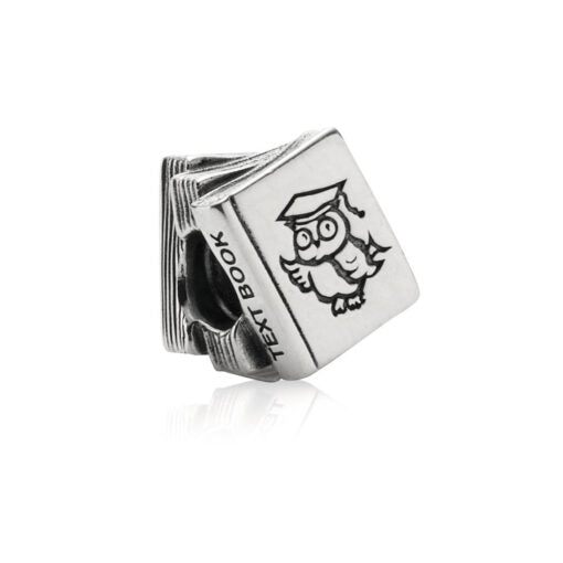 Pandora Charm Libro 790536