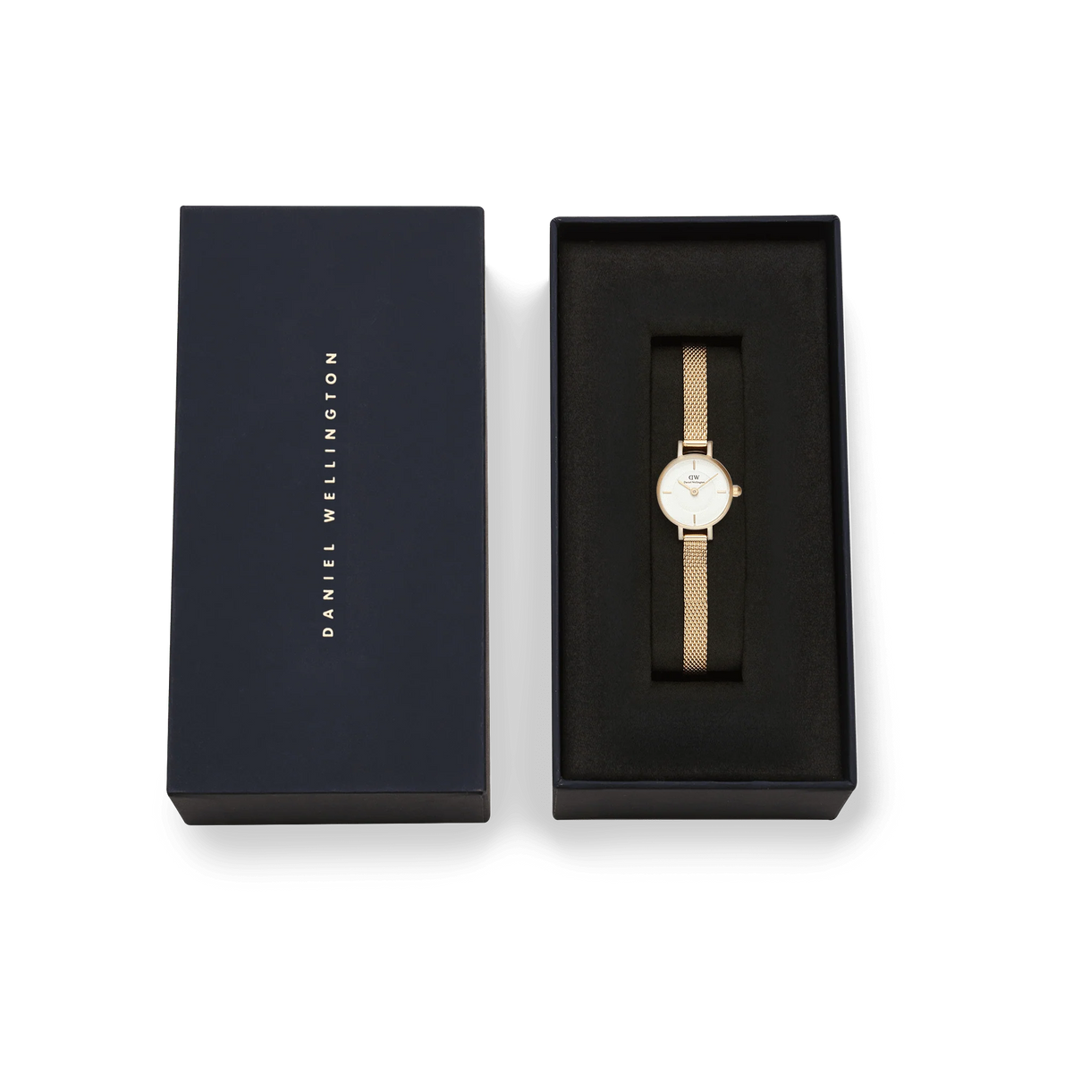 Daniel Wellington Petite Mini Evergold