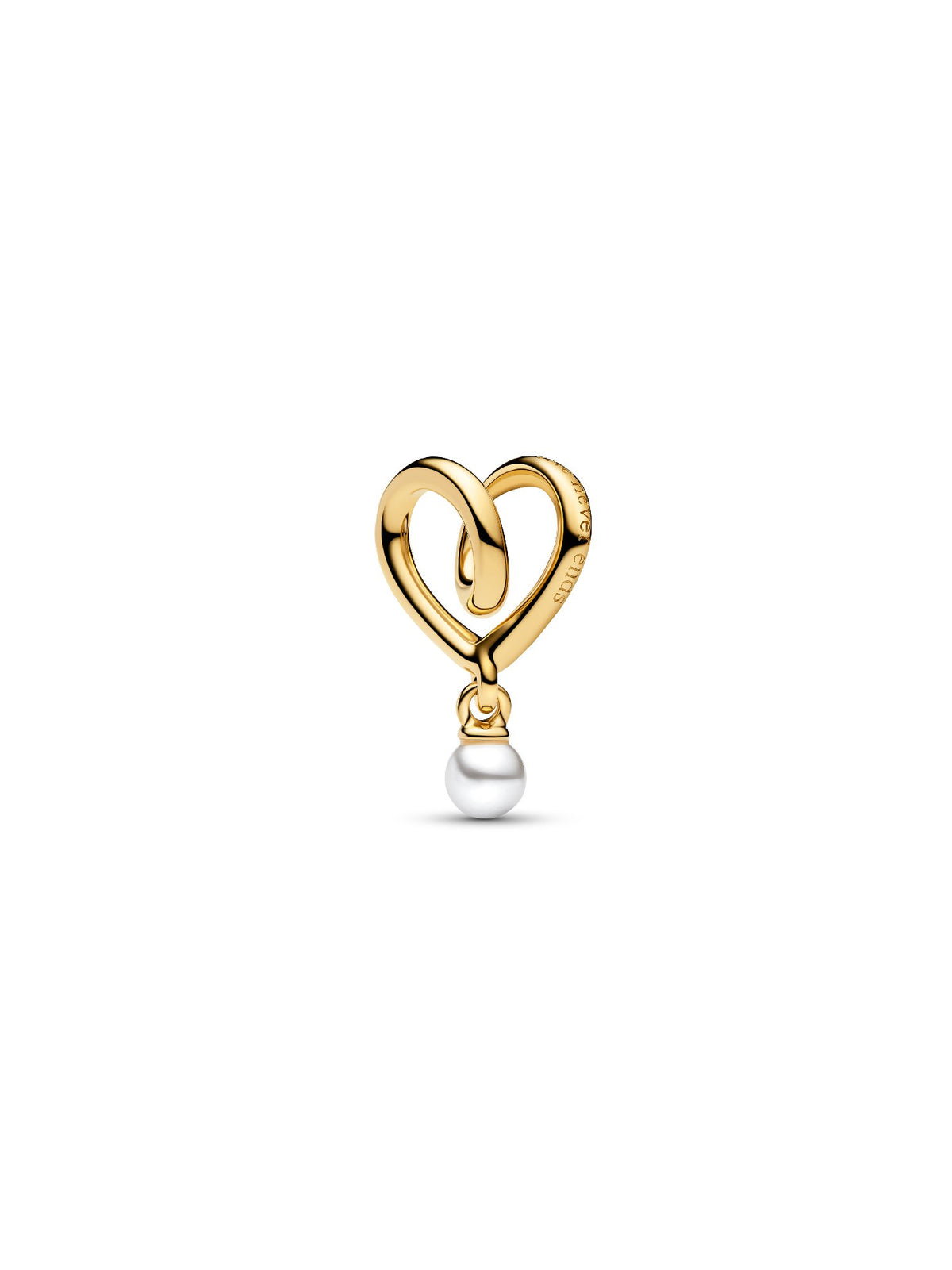 Pandora Charm Famiglia, Dove l'Amore è Infinito 764138C01